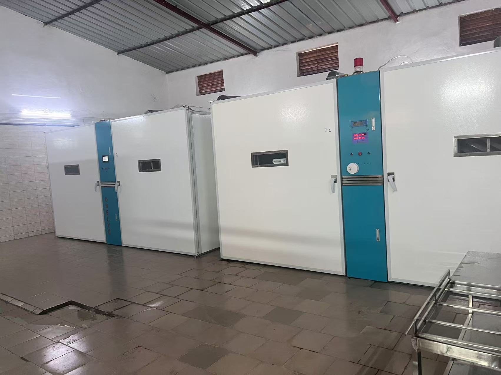 Latest company blogs about Bagaimana Otomatisasi Meningkatkan Tingkat Penetasan hingga 98% di Inkubator Modern