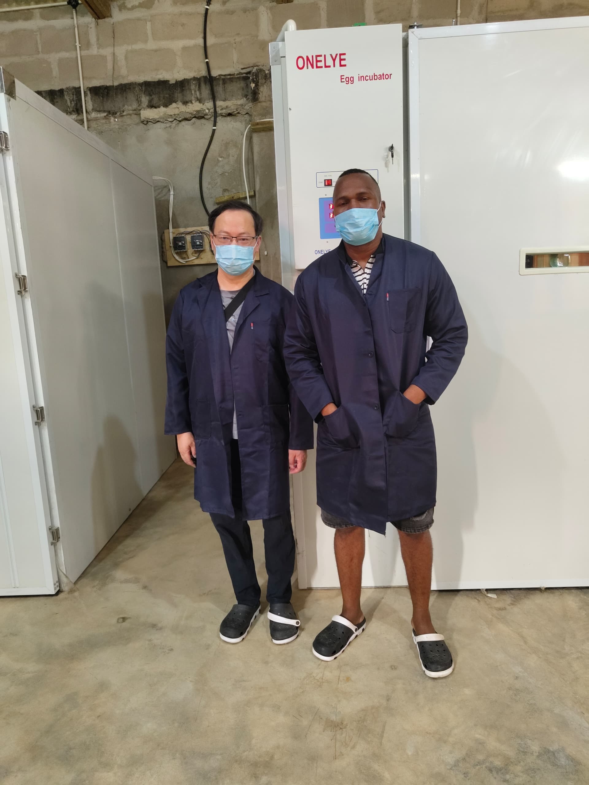 Blog perusahaan terbaru tentang Perubahan Suhu Siang-Malam Dataran Tinggi Ethiopia Menyebabkan Penetasan Tidak Merata: Solusi Isolasi dan Aliran Udara Seragam untuk Inkubator Unggas