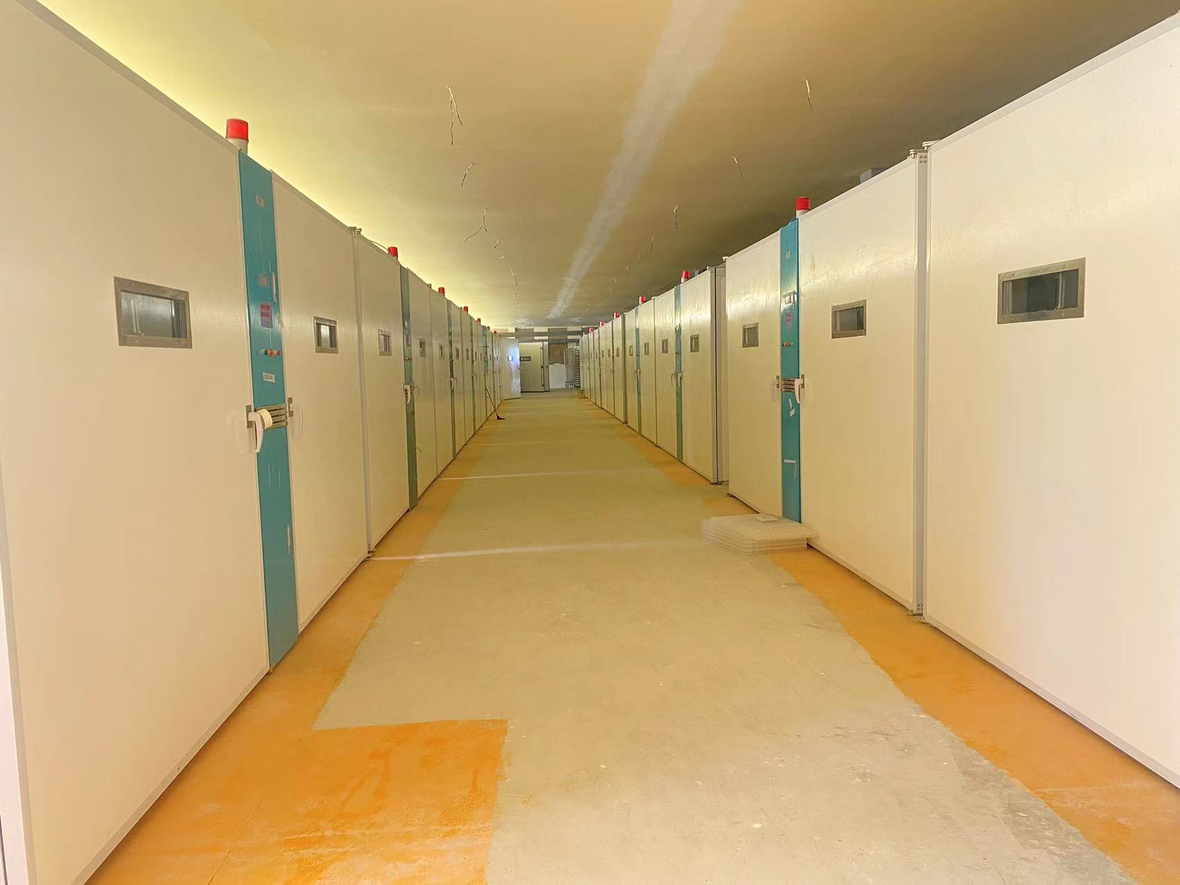 Blog perusahaan terbaru tentang Solusi Unggas Tahan Lama: Mengapa Peternakan Unggas Afrika Beralih ke ELT-57600S Stainless Steel & Fiberglass