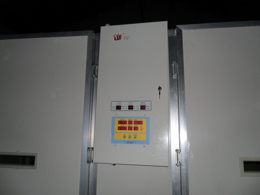 Ss Single Stage Incubator Untuk Telur Burung Inkubator Telur Kapasitas 10000