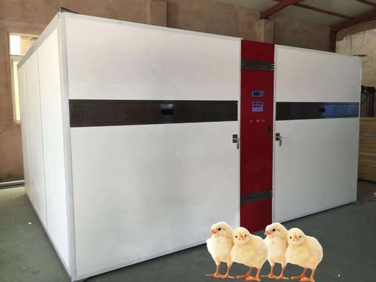 Beli Inkubator Satu Tahap Untuk Kisaran Suhu 30-70°C & Kisaran Kelembaban 30-90% RH online manufacture