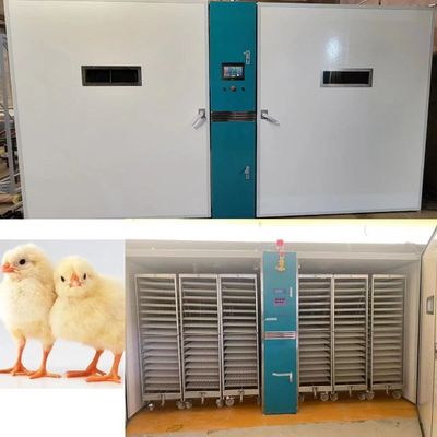 Beli Mesin Penetasan Ayam 220V/50Hz Dengan Akurasi Kelembaban ±3%RH online manufacture
