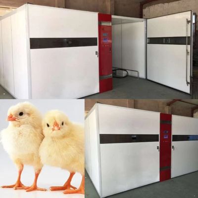 Beli Mesin Penetasan Ayam Tampilan Digital LED 50kg online manufacture