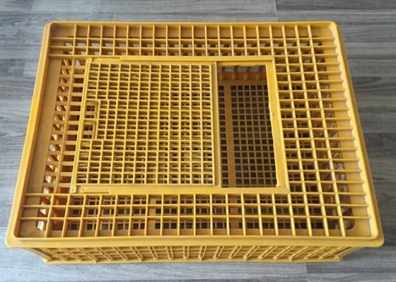 Beli Aksesoris Kandang Ayam Transportasi Kandang Plastik Ayam Unggas 732x534x260mm online manufacture