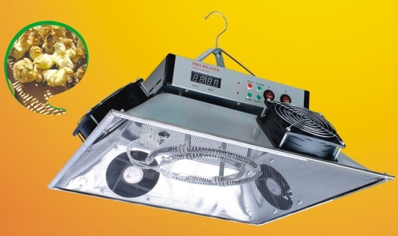 Beli Electric Poultry Brooder Heater Chicken Brooder Pemanas Gas Untuk Peternakan Unggas online manufacture