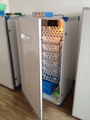 Beli Mudah Menetaskan Mesin Penetas Telur Otomatis Penuh Untuk Telur Ayam Kapasitas 300 Telur Inkubator online manufacture