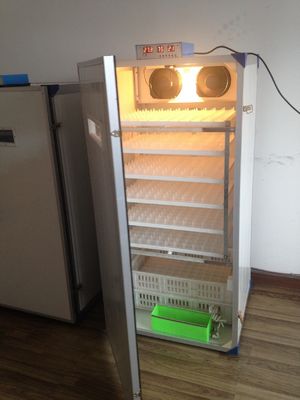 Beli 300 Inkubator Telur Unggas Kecil Penyu Untuk Inkubator Pembalik Telur Ayam online manufacture