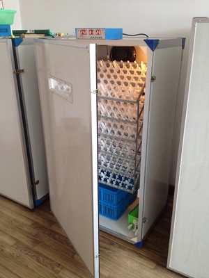 Beli Mesin Penetas Telur Unggas Otomatis Mesin Penetas 600 Telur online manufacture