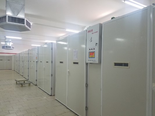 Beli 20000 Mesin Penetas Telur Ayam Inkubator online manufacture