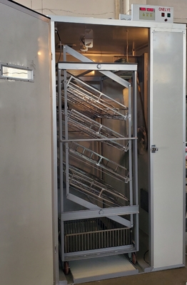 Beli Hatcher Inkubator Egg Setter Otomatis 120144 Emu Eggs Cabinet Hatcher online manufacture