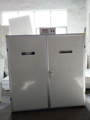 Beli 7040 Mesin Penetas Inkubator Egg Setter Pheasant online manufacture