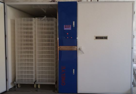 Beli Mesin Penetasan Ayam Macaw Baby Chicks Chicken Automatic Turning Incubator 128 Tray online manufacture