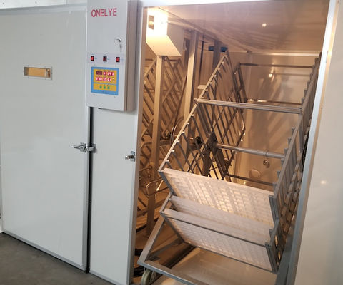 Beli Kapasitas Besar Mesin Penetas Telur Komersial 10000 Telur Penetasan Telur Burung Beo Burung Beo online manufacture