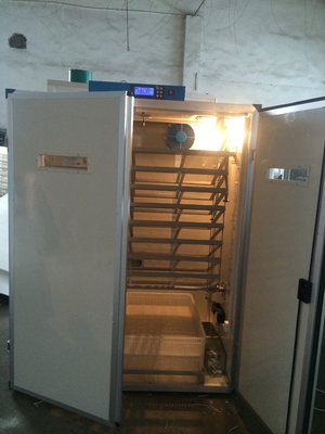 Beli Mesin Tetas Telur Puyuh Digital Setter Hatcher 7956 Mesin Penetas Telur Puyuh online manufacture