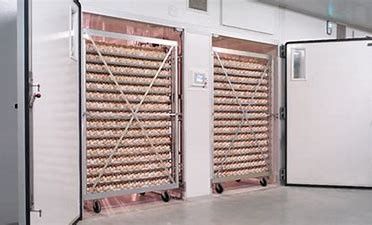 Beli Cerdas 31824 Telur Puyuh Satu Tahap Inkubator Dengan Egg Turner online manufacture