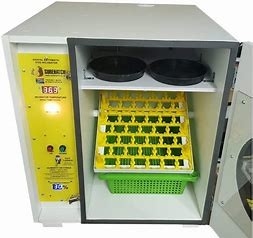 Beli Jumbo Pigeon Intelligent Multi Mode Automatic Incubator 672 TelurEgg online manufacture