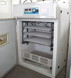 Beli 200PCS Bagian Ekstrusi Mesin Penetas Telur Unggas Jumbo online manufacture