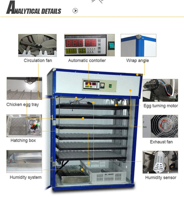 Beli Mesin Inkubator Ayam Sepenuhnya Otomatis 3000 Egg Incubator online manufacture